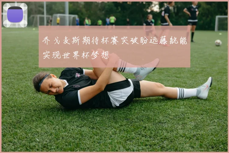 乔戈麦斯期待杯赛突破盼远藤航能实现世界杯梦想
