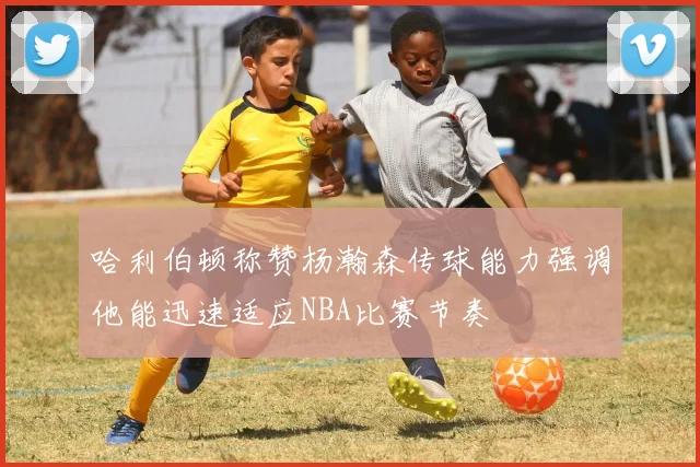 哈利伯顿称赞杨瀚森传球能力强调他能迅速适应NBA比赛节奏