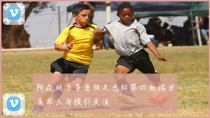 阿森纳力争晋级足总杯第四轮诺尔高单人海报引关注