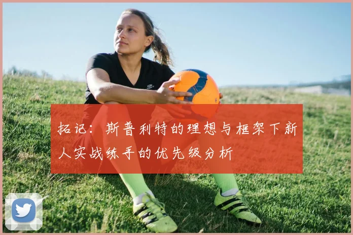 拓记：斯普利特的理想与框架下新人实战练手的优先级分析