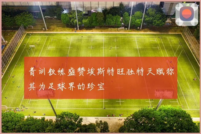 青训教练盛赞埃斯特旺独特天赋称其为足球界的珍宝